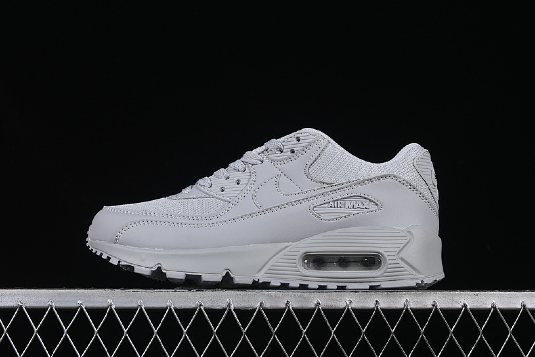 Nike AIR MAX 90 WOLF GREY/WOLF GREY · CN8490-001, photo 1