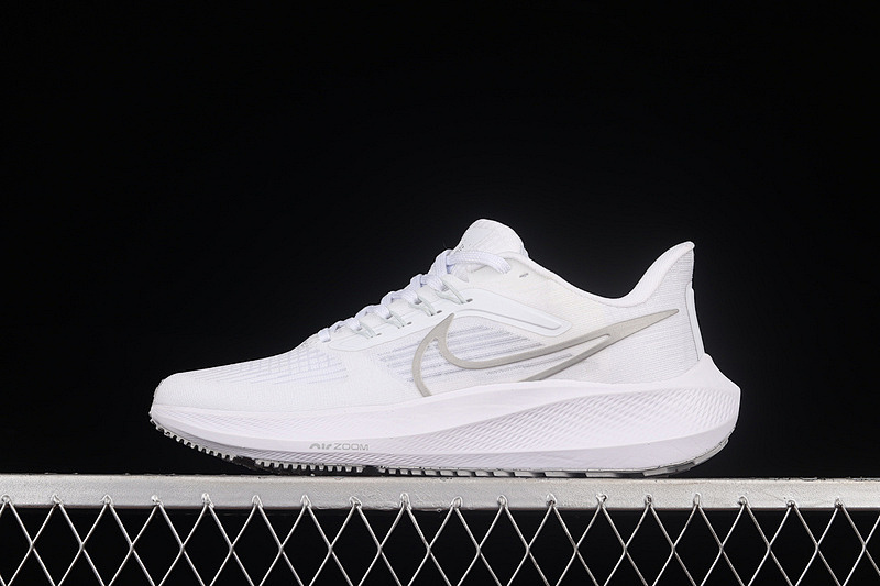 Nike Nike AIR ZOOM PEGASUS 39 WHITE/WHITE/SILVER · DH4072-100, photo 1