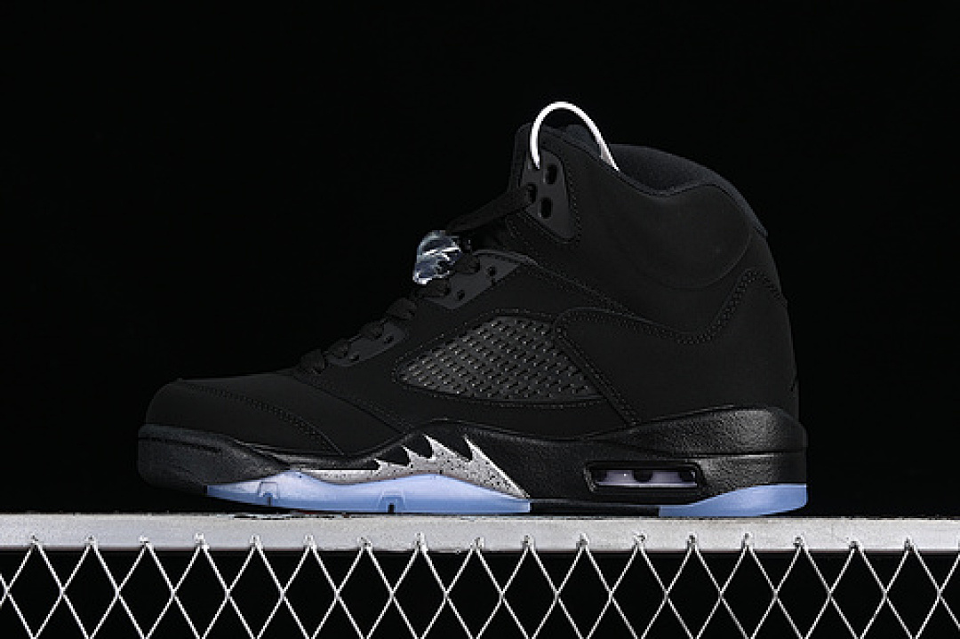 Jordan [CT8529-170]-[AIR JORDAN 6 RETRO SILVER/BLACK]-[MAN:40-48.5], photo 1