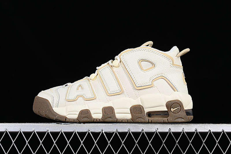 Nike Nike AIR MORE UPTEMPO 96 QS WHITE/GREY/BROWN · DX1939-100, photo 1