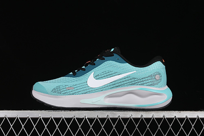 JOURNEY RUN 2024 WHITE/BLUE/BLACK · FN0228-300, photo 1