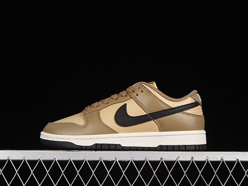 Nike SB DUNK LOW DARK DRIFTWOOD/BLACK/SESAME/SAIL · DD1503-200, photo 1