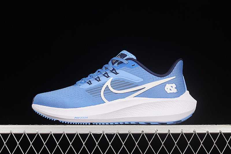 Nike Nike AIR ZOOM PEGASUS 39 BLUE/BLUE/WHITE · DR1967-400, photo 1