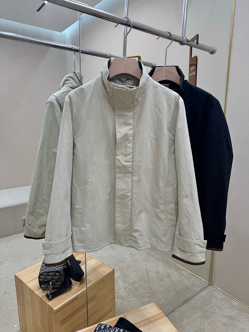 Dior 3WT5153-8L