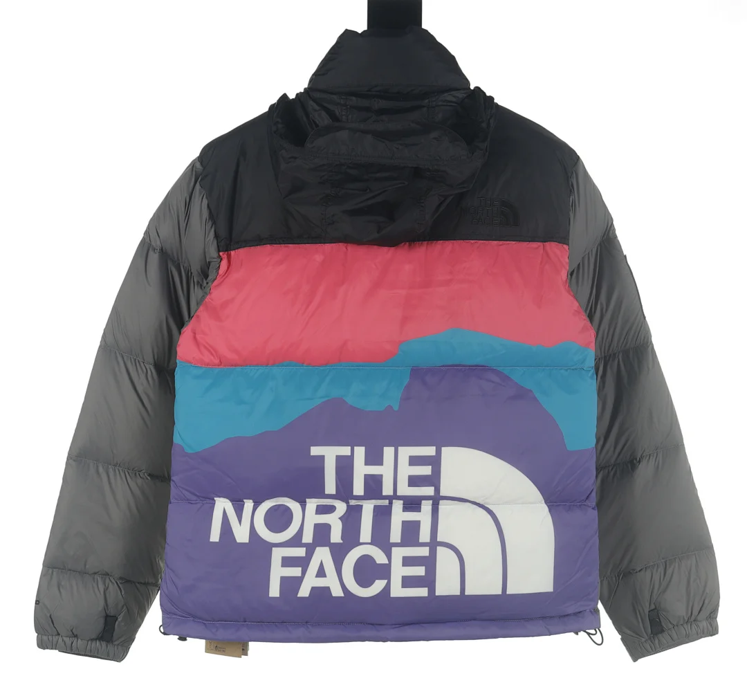The North Face Doudoune 1996 Retro Nuptse, coloris Black / Blue / Purple / Pink, vue 8
