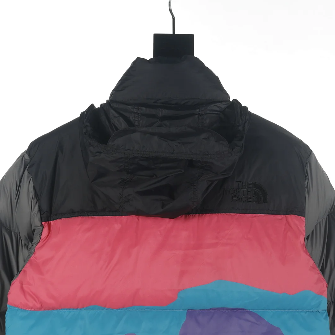 The North Face Doudoune 1996 Retro Nuptse, coloris Black / Blue / Purple / Pink, vue 9