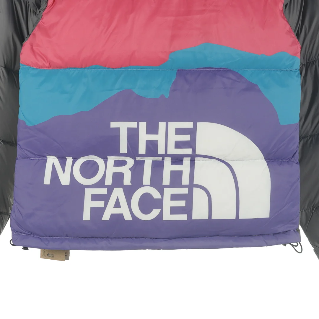 The North Face Doudoune 1996 Retro Nuptse, coloris Black / Blue / Purple / Pink, vue 10